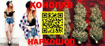 твердый Моздок