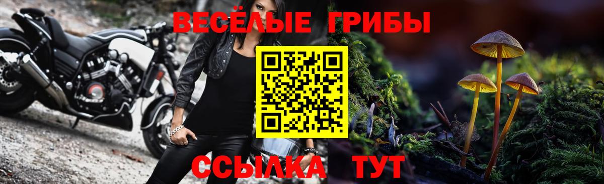 Галлюциногенные грибы Magic Shrooms Юрга